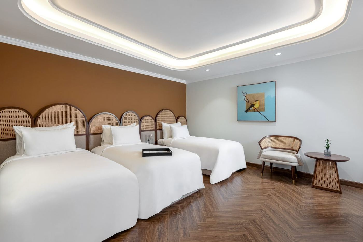 Deluxe Triple Room (28 m²)