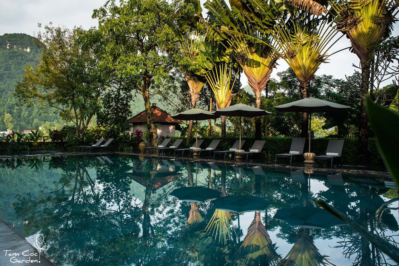 Tam Coc Garden Resort, תמונה 4
